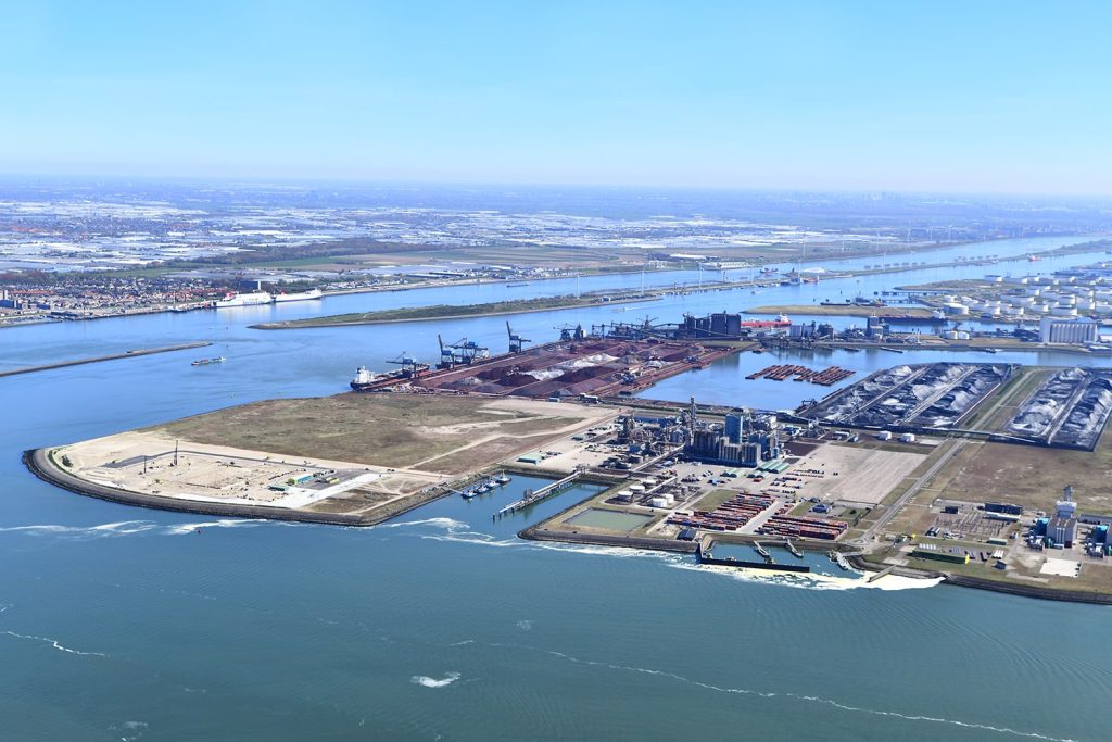 kop-van-de-beer-bouwterrein-havenbedrijf-rotterdam-danny-cornelissen-juni-2020